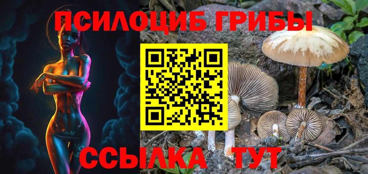 Галлюциногенные грибы Cubensis Каспийск